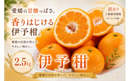 ＜訳あり 愛媛県産伊予柑 合計約2.5kg＞『2027年1月上旬～2月下旬迄に順次出荷予定』 爽やか いよかん ジューシー 甘い あまい 果汁 果物 くだもの フルーツ みかん オレンジ 柑橘 人気柑橘 特産品 株式会社OSN 愛媛県 西予市 【常温】