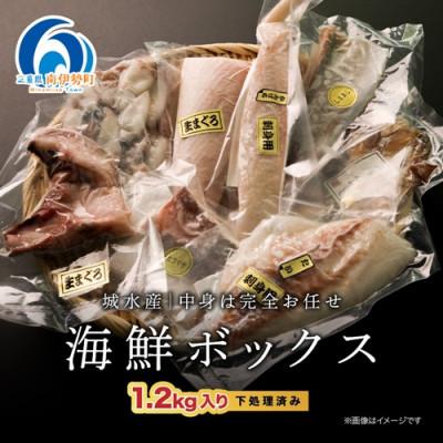 ふるさと納税 南伊勢町 【2ヵ月毎定期便】訳あり 伊勢志摩産 海鮮 お宝ボックス 約1.2kg 特産の刺身、干物など全3回