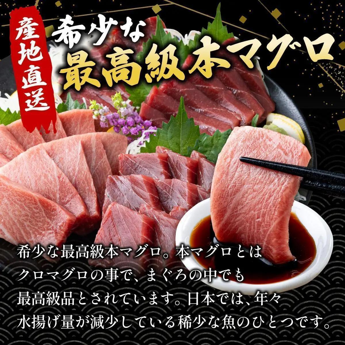 石垣島産 天然本マグロ 赤身 & 大トロ 約400g 