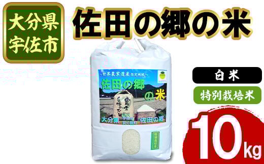 
            ＜新米・令和7年産＞佐田の郷の米 特別栽培米(10kg)お米 白米 ごはん ヒノヒカリ ひのひかり ブランド米 常温 常温保存【111700804】【雅設置プロジェクト　佐田の郷の会】
          