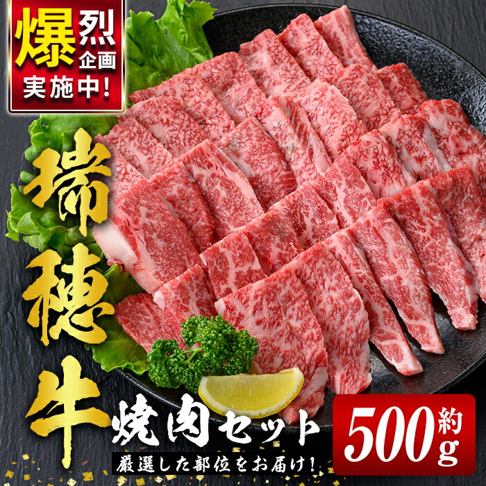 【ふるさと納税】 瑞穂牛焼肉セット 約500g 牛肉 やきにく 国産 牛肉 バラ 肩ロース 肩 肩バラ トモサンカク イチボ ブランド牛 茨城県 お中元 焼肉の日 敬老の日 瑞穂牛 焼肉 詰め合わせ 食べ比べ 国産 BBQ 【（株）フロンティアロード】【ho0858-1】