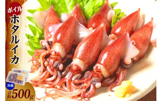 【先行予約】【ほたるいか 鮮度抜群 ボイル 小分け 250g×2パック 500g 酢味噌付 兵庫県産 冷蔵】令和8年3月以降順次発送予定 生ほたるいかを水揚げ後すぐにボイル その日のうちに発送 新鮮さが際立ち、冷凍からの茹で上げとは艶が全く違います 熟練の職人が絶妙な塩加減で茹上げ 兵庫県はホタルイカ水揚げ日本一 いか 香美町 香住 しゃぶしゃぶ ふるさと納税 モリタ食品 6000円 10-13