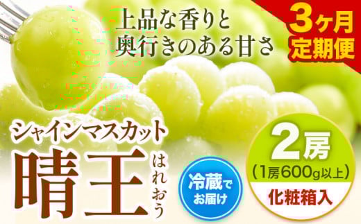 【2026年先行予約】【3ヶ月定期便】 シャインマスカット晴王 はれおう 2房入り(1房600g以上) 化粧箱入 株式会社山博(中本青果)《2026年8月下旬から10月下旬出荷》 定期 計3回お届け 岡山県 浅口市 ぶどう マスカット 大粒 フルーツ 秀品 旬 果物 贈り物 ギフト 送料無料【配送不可地域あり】