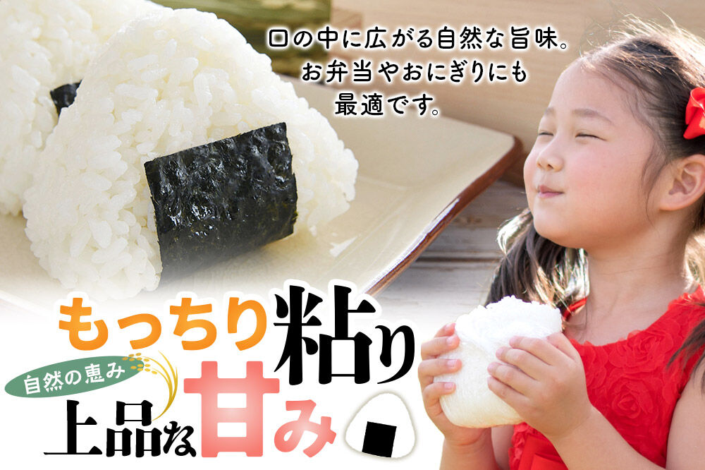 【令和８年産 新米予約】あきたこまち 精米 5kg 秋田県北秋田市産 白米 [米 こめ 令和８年 2026年 新米 秋田県 北秋田市 あきたこまち 白米 美味しい おいしい]