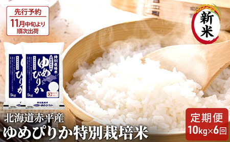 【先行予約2025年産米・11月中旬より順次出荷】北海道赤平産 ゆめぴりか 10kg (5kg×2袋) 特別栽培米 【6回お届け】 米 北海道 定期便 お米 