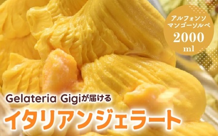 ジェラテリアGigiのイタリアンジェラート『アルフォンソマンゴーソルベ』2000ml【43002703】