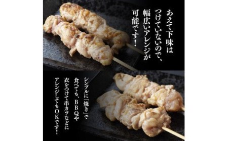 【３ケ月定期便】 焼き鳥人気部位串 計４８本【肉 鶏肉 国産鶏肉 九州産鶏肉 宮崎県産鶏肉 若鶏 焼鳥 やきとり BBQ バーベキュー 鶏肉】