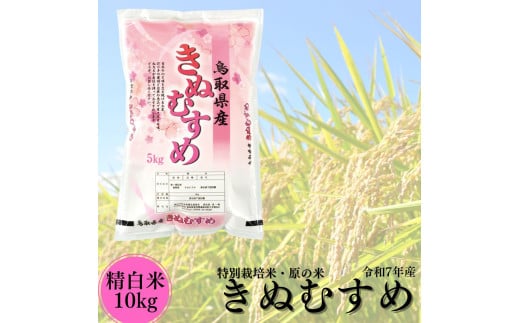 104K.特別栽培米『原の米･きぬむすめ』◇精白米10kg◇令和7年産
