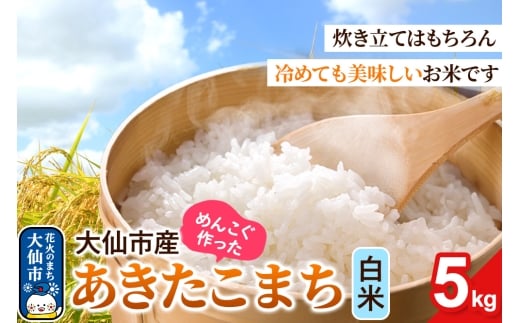 米 あきたこまち 白米 5kg 秋田県 大仙市 伊藤精米店