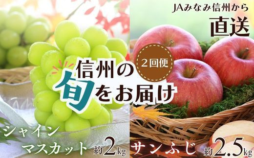 
            南信州産　人気果実の返礼品セット　各5kg　＜シャインマスカット＞＜サンふじ＞　2回発送
          