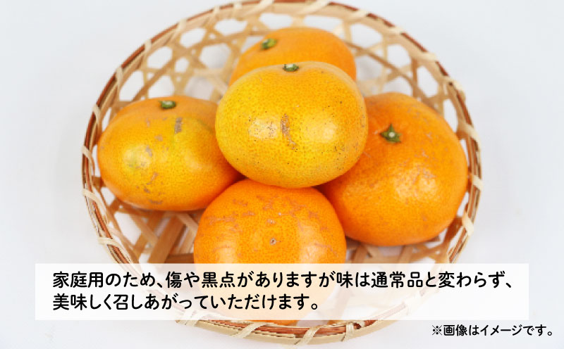 柑橘定期便 全 3回 みかん定期便 家庭用 早生 温州みかん ぽんかん 河内晩柑 玉津柑橘倶楽部 先行予約 サイズ 不揃い ポンカン 果実 果物 くだもの フルーツ 柑橘 愛媛蜜柑 愛媛みかん mik