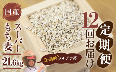 豊橋産スーパーもち麦　定期便 6回（1.8kg×6）