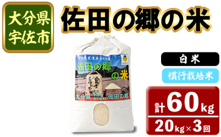 ＜令和7年産＞＜定期便・総３回＞佐田の郷の米 慣行栽培米(計60kg) お米 白米 ごはん ヒノヒカリ ひのひかり ブランド米 常温 常温保存【211700400】【雅設置プロジェクト　佐田の郷の会】