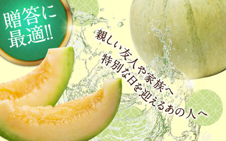 【2024年4月下旬〜発送】 プリンスメロン 約4kg / メロン めろん / 南島原市 / 南島原果物屋 [SCV010]