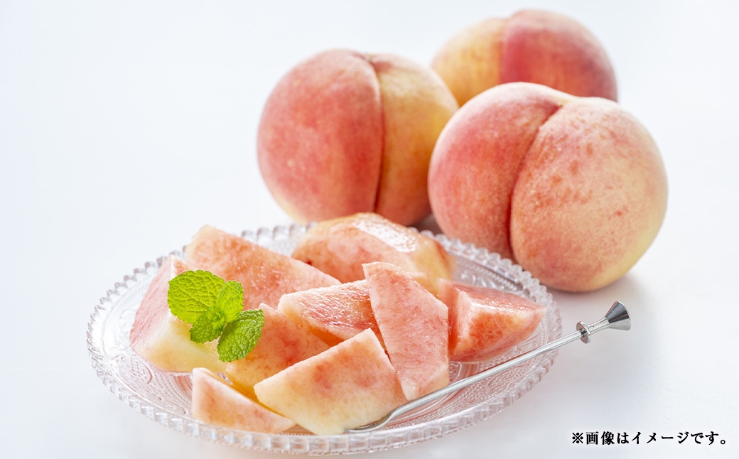 【 2回定期便 】 中央市産 とうもろこし、もも