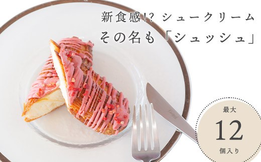 プレーン：【12本セット】新食感!?シュークリーム シュッシュ 5種食べ比べ シューアイス お試し 抹茶ミルクいちごチョコキャラメルナッツコーティング お中元 スイーツギフト お取り寄せ 冷たい 夏 インスタ映え お菓子 贈り物 個包装 送料無料 お見舞い すぐ 届く
