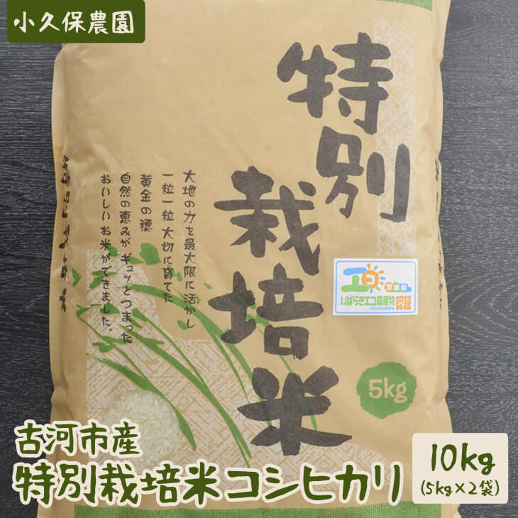 【令和6年産】古河市産 特別栽培米コシヒカリ10kg【小久保農園】 | 米 こめ コメ 10キロ こしひかり コシヒカリ特別栽培米 古河市産 茨城県産 贈答 贈り物 プレゼント 茨城県 古河市 直送 農家直送 産地直送 _AS04