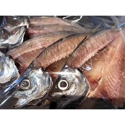 竹中水産の天日干し大アジ(宇和海産)の開き12枚(大振りサイズがたまらない)!【D22−250】【配送不可地域：離島】【1073907】