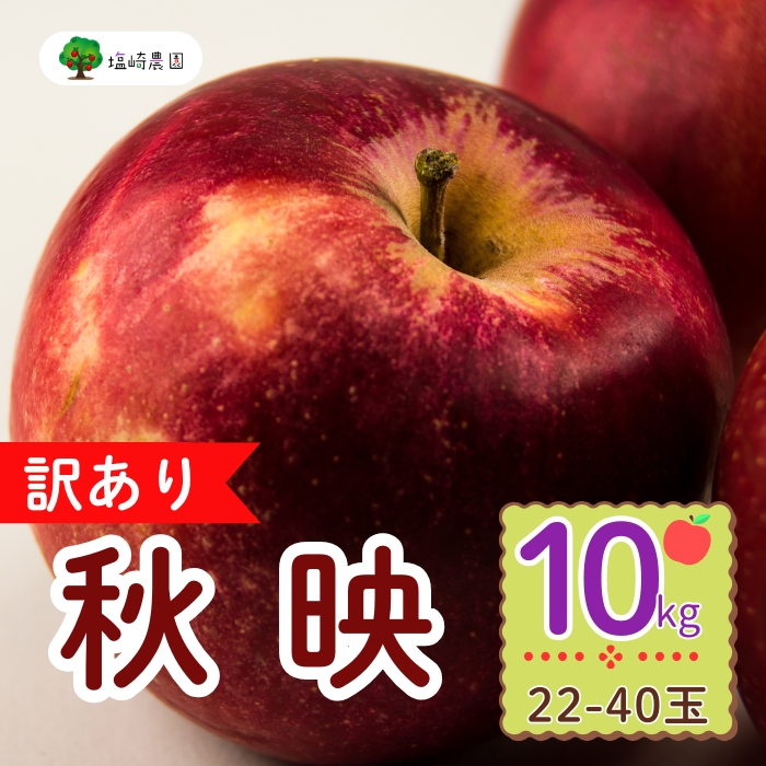 【先行予約】【訳あり】秋映（あきばえ）約10kg（22-40玉）規格外（7-A26-3）