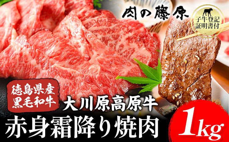 【年間10頭！】大川原高原牛 赤身・霜降り焼肉用 1kg 株式会社肉の藤原《30日以内に出荷予定(土日祝除く)》徳島県 佐那河内村 和牛 希少 佐那河内 さなごうち 大川原高原 牛肉 焼肉 赤身 贅沢 あっさり バーベキュー BBQ 弁当 冷凍 ギフト 贈答 s-24