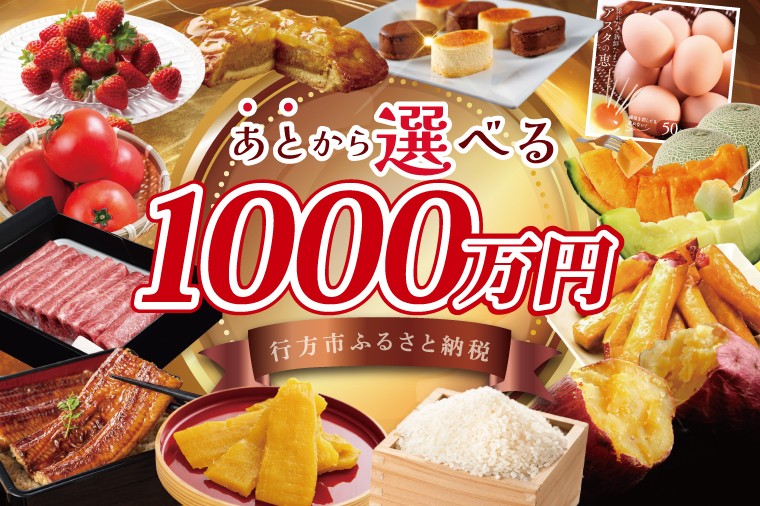 
CU-106　【提案型】コンシェルジュコース（300万円）
