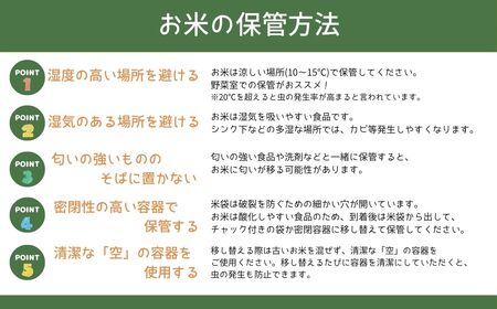 【令和8年産　新米】青森ブランド米 はれわたり 玄米 1袋 5kg [fu-0024-002]