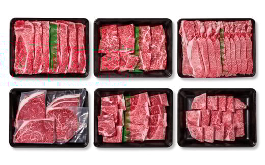 【定期便】宮崎牛 6回定期便 焼肉・スライス・ステーキ 内閣総理大臣賞４連続受賞 4等級以上 Ｙ<7-9>牛肉 黒毛和牛 日本一 ブランド牛 宮崎県西都市