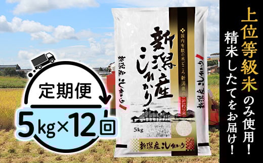 31-K5Z【12ヶ月連続お届け】新潟県産コシヒカリ5kg