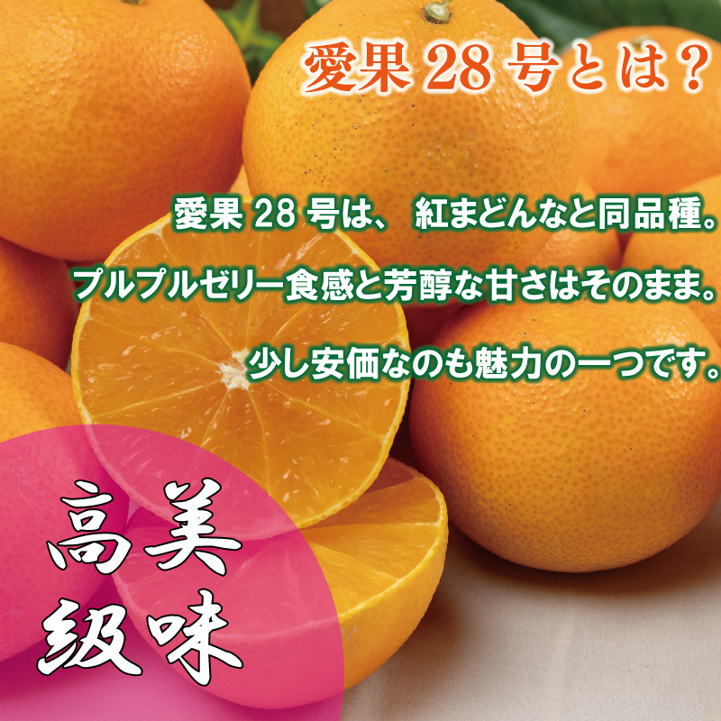 【順次発送中】 愛果28号 (紅まどんな と同品種) 約5kg あいか みかん 柑橘