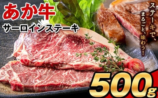 あか牛（褐毛和牛） サーロイン ステーキ 500g 牛肉 冷凍《2026年1月中旬-3月末頃出荷》