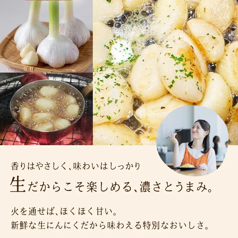 飛騨産 生にんにく 選べる内容量 500g  生 ニンニク【6月中旬～下旬発送】水村農園 