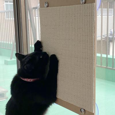 ふるさと納税 北名古屋市 猫爪とぎオンリーキャット 猫の板(吸盤タイプ) |  | 01