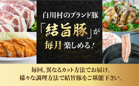 豚肉 定期便 全4回 白川郷 豚 定期便