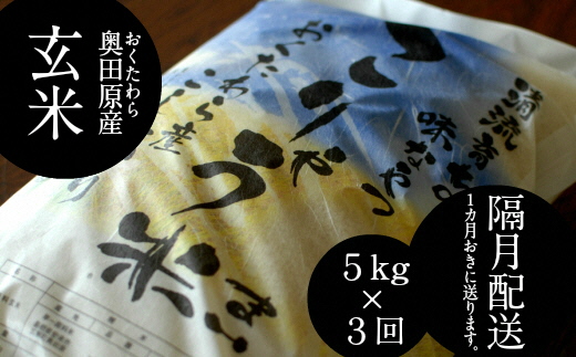 【定期便】安来のお米 こりゃう米（まい）玄米 5kg×3回（隔月）令和6年産 新米