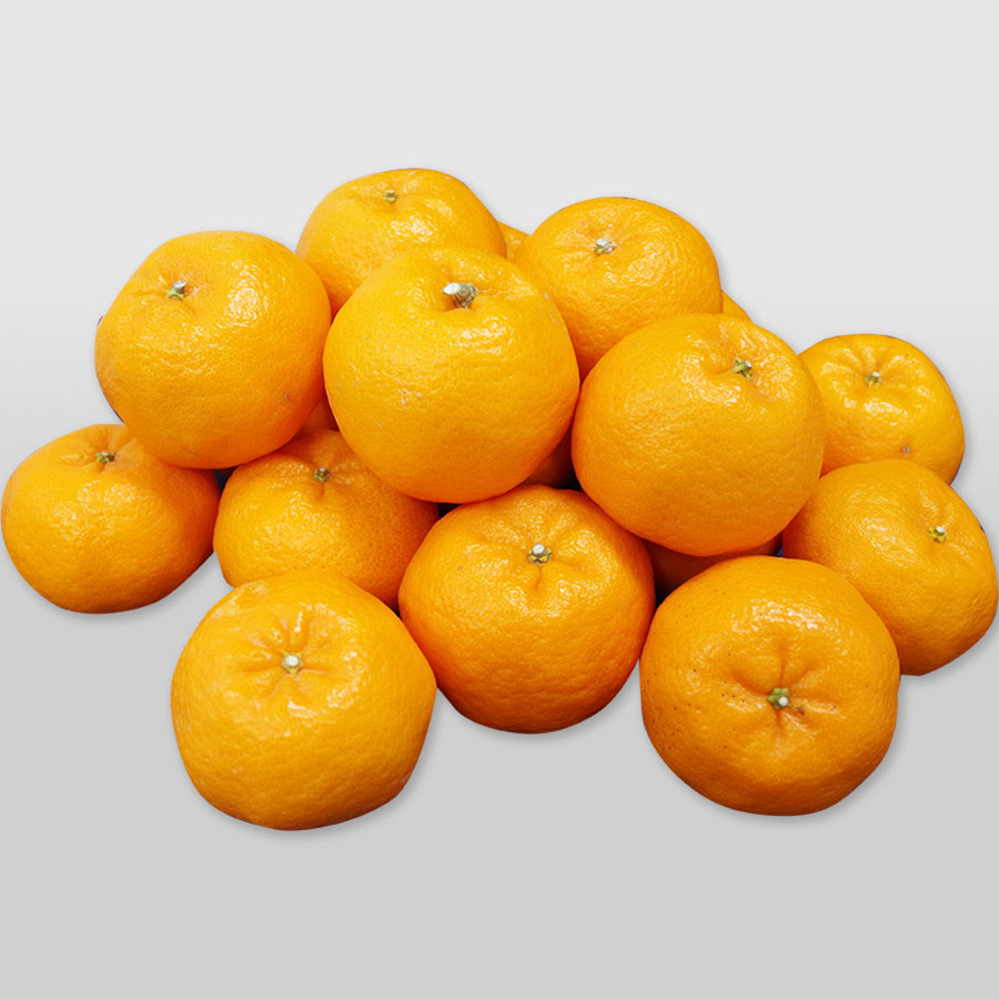 愛媛県産　ぽんかん2kg
