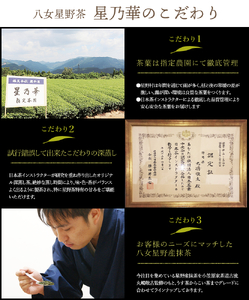 八女茶 八女ほうじ茶 ティーバッグ3g×200個【015-0019】