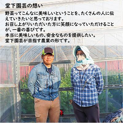 ふるさと納税 あわら市 【毎月定期便】 農家直送 旬の野菜セット 7品目以上全12回 |  | 03