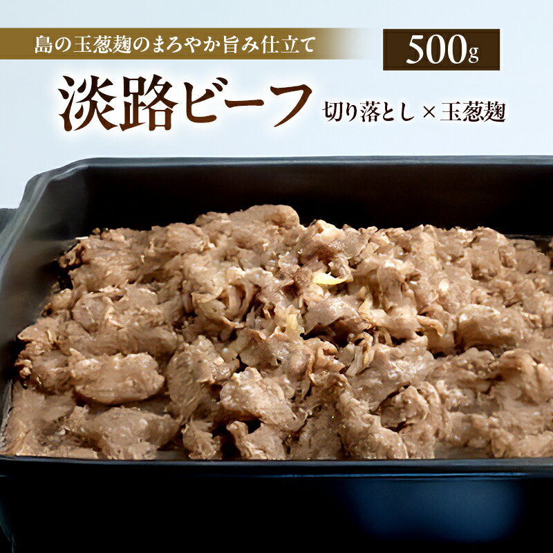 【ふるさと納税】淡路ビーフ 切り落とし 玉葱麹 500g 250g × 2p 島の玉葱麹のまろやか旨み仕立て 肉 お肉 牛肉 焼肉 BBQ 兵庫県 洲本市 淡路島