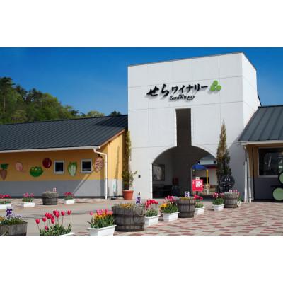 ふるさと納税 世羅町 【世羅町産ブドウの日本ワイン】せらワイン赤2種セット |  | 01