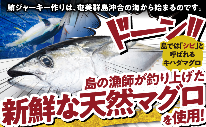 素潜り漁師マサル監修「マグロのジャーキー」30g×7袋　W062-011u