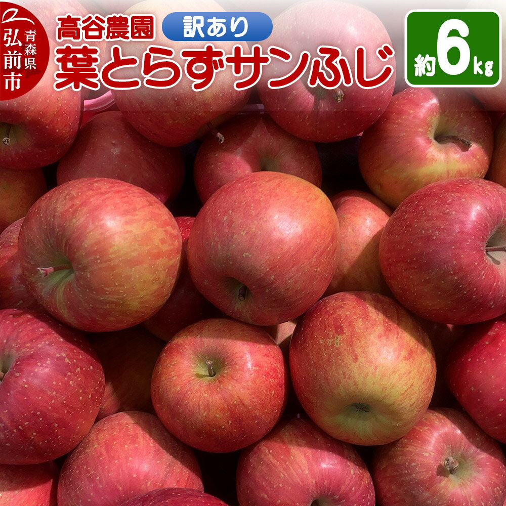 【ふるさと納税】【レビューキャンペーン】【25年11月〜発送】りんご 高谷農園【訳あり】葉とらずサンふじ 約6kg
