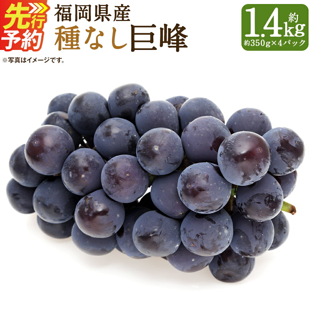 【ふるさと納税】福岡県産 種なし巨峰 数量限定 合計約1.4kg 約350g×4パック 巨峰 種なし 産地直送 ぶどう 筑後市 果物 フルーツ 九州産 冷蔵 送料無料 【2027年7月下旬～8月下旬に順次発送予定】