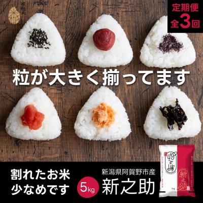 ふるさと納税 阿賀野市 【令和7年産】【3か月定期便】 新之助 5kg×3回 計15kg 米杜氏 壱成 白米 精米