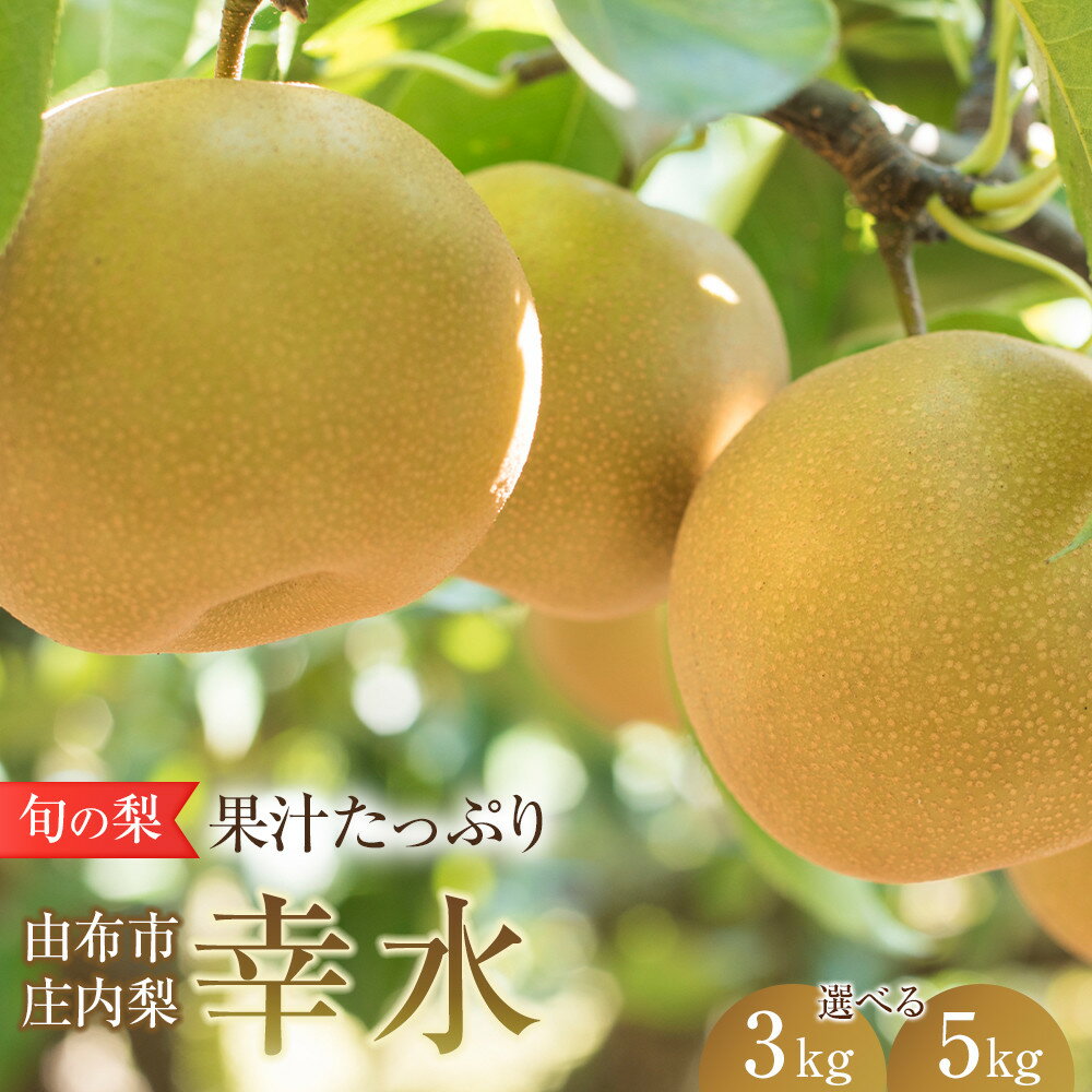 【ふるさと納税】＜選べる容量＞旬の梨 幸水 3kg・5kg 庄内梨 大塚梨園＜2026年8月中旬以降発送＞ | 梨 なし 3kg 5kg 由布院 湯布院 由布市 大分県 九州 フルーツ 果物 お取り寄せ 国産 送料無料 ゆふいん おすすめ 数量限定 期間限定