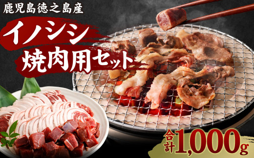 【鹿児島徳之島】イノシシ 焼肉用 セット1kg ジビエ ロース サイコロ バラ AI-16-N