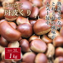 【ふるさと納税】 とれたて 丹波くり 3L 1kg（京都 京丹波町産）【 大粒 生栗 和栗 国産栗 地域限定 丹波栗 くり 栗 栗ご飯 】 ※北海道・沖縄・その他離島は配送不可