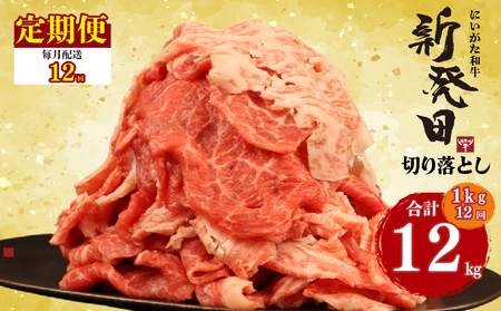 【12回定期便 】 牛肉 切り落とし 新発田牛 計12kg 切り落とし enomoto031