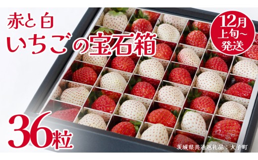 赤いちご と 白いちご の宝石箱36粒【2026年12月上旬発送開始】(茨城県共通返礼品：大子町) いちご 苺 果物 フルーツ 果実