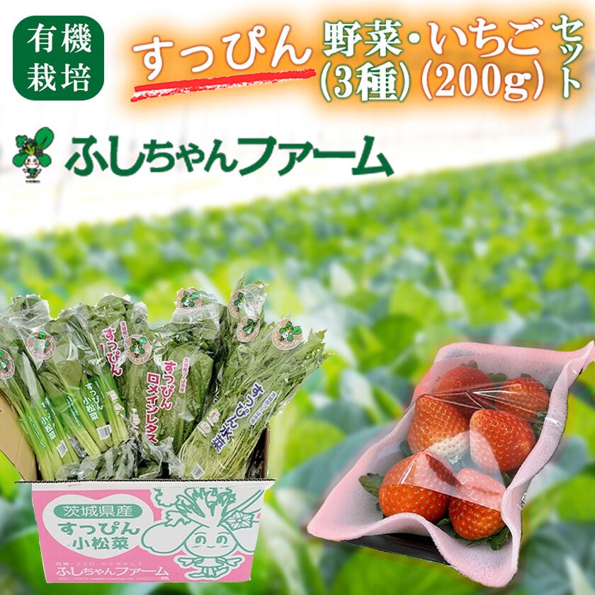 【ふるさと納税】【先行予約】☆2026年1月16日以降発送☆すっぴん有機やさい・いちごセットA | 茨城県 つくば市 いちご 苺 イチゴ 恋みのり 小松菜 ロメインレタス 水菜 鍋 鍋もの 野菜 有機野菜 有機栽培 無農薬 有機農業 オーガニック 自然 果実 フルーツ 果物 希少
