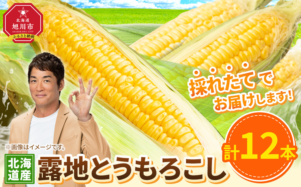 【26年先行予約】露地とうもろこし　合計12本　2026年8月中旬から発送開始予定 【とうもろこし 人気 北海道産 糖度 生 野菜 スイートコーン 産地直送 バーベキュー BBQ コーン 旬 お取り寄せ 旭川市 北海道 】_04755
